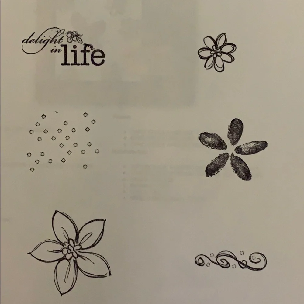 🎭 3/$25 - Stampin Up! Delight in Life hostess set